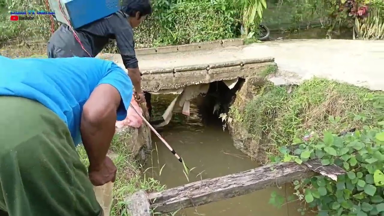 Nyetrum ikan telusuri sungai di pedesaan #setrumpdc