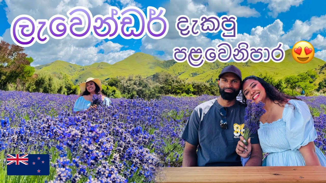 දම් පාට ලෝකයක් 💜 Lavender Magic Garden – පළමු වතාවට ගිය අපේ ගමන 💜
