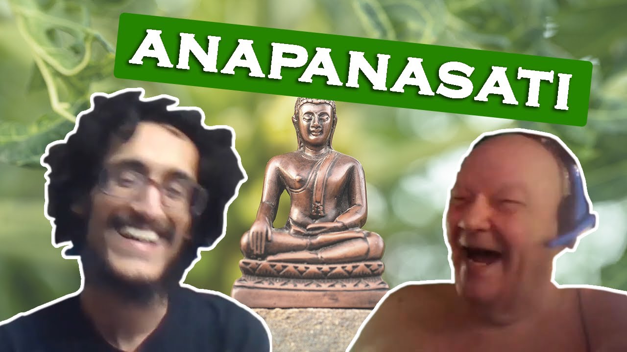 How to Meditate with Dhammarato | Anonymous-5 #8 | 6.4.21