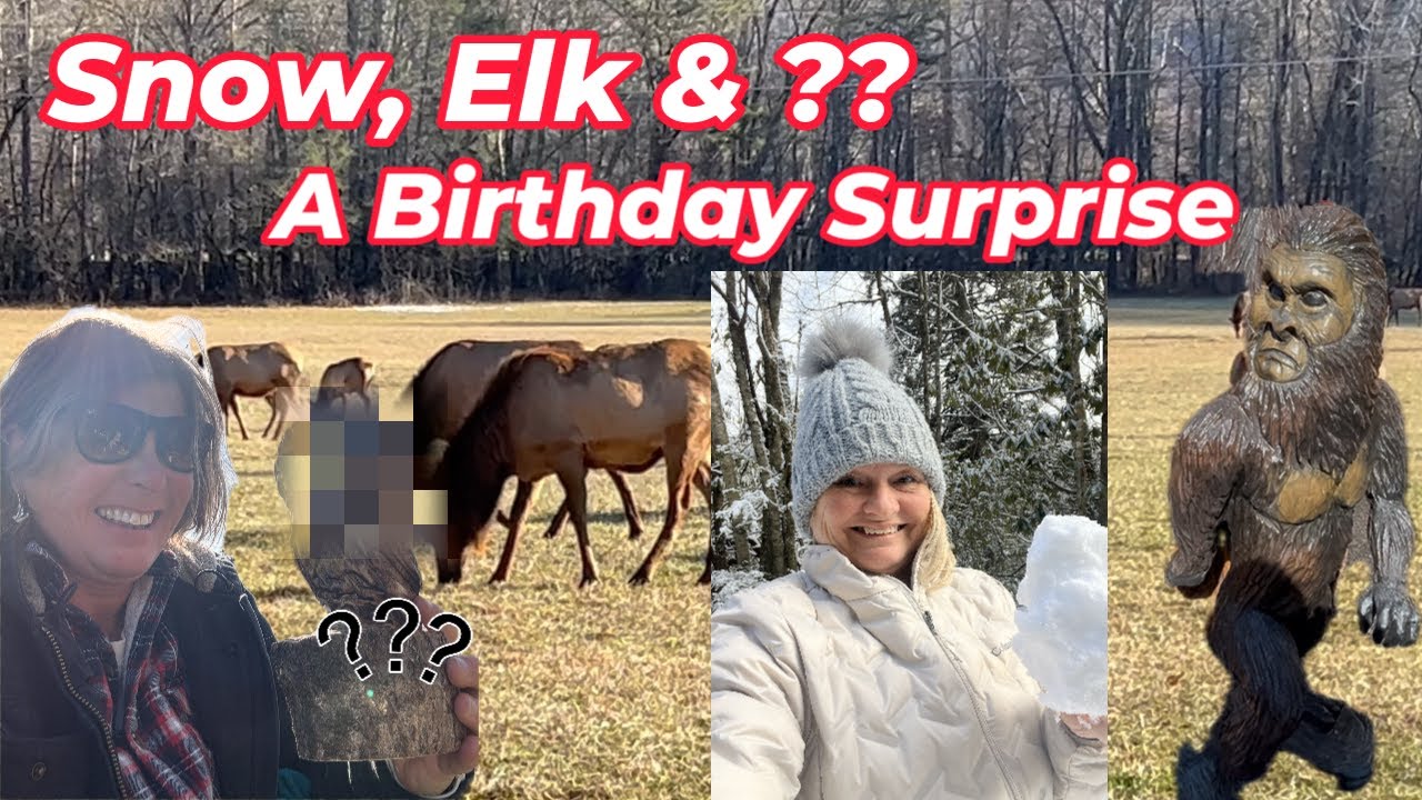 Chasing Snow, Elk, and Owls @mrscoghillfarm