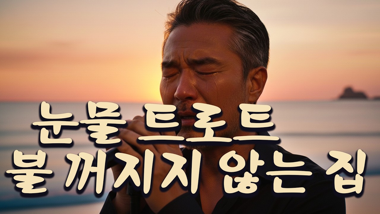 불 꺼지지 않는 집 | 자식 기다리는 아버지의 노래 | 눈물 트로트 | 눈물 주의 | 중년을 위한 노래