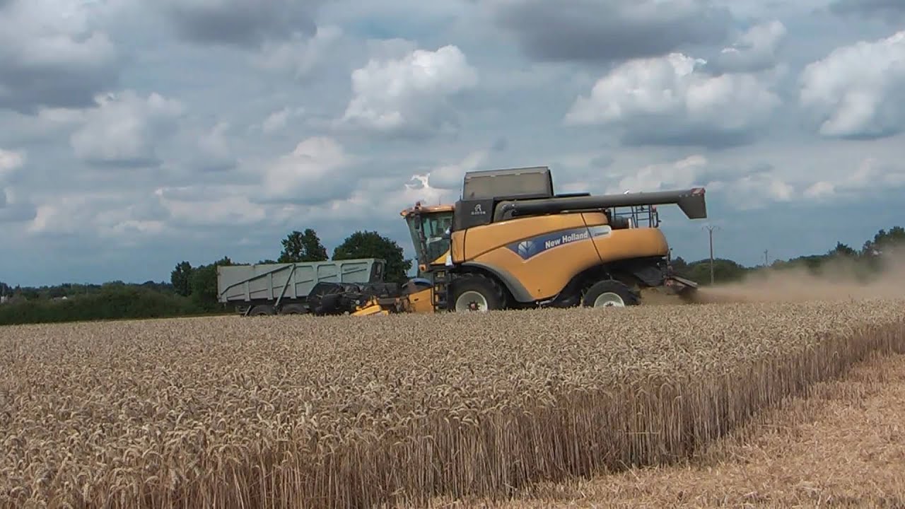New Holland CR9060 moisson du blé 2010 - wheat harvest