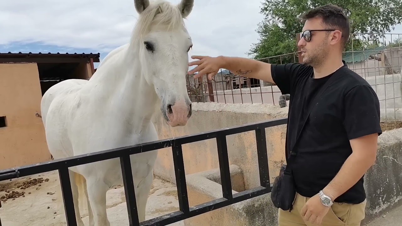 Mahalo, ruta a caballo, San Martín De Valdeiglesias