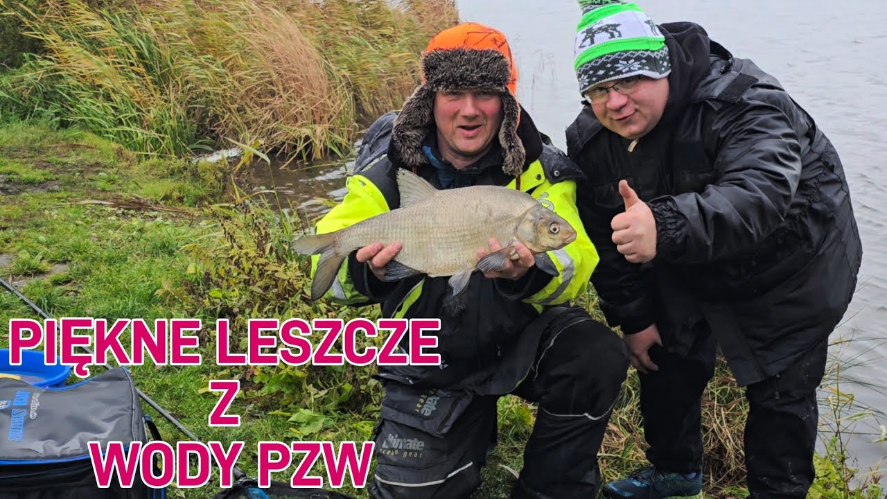 #97 Piękne leszcze z wody pzw na feeder  niesamowite wedkarstwo Listopad 2024