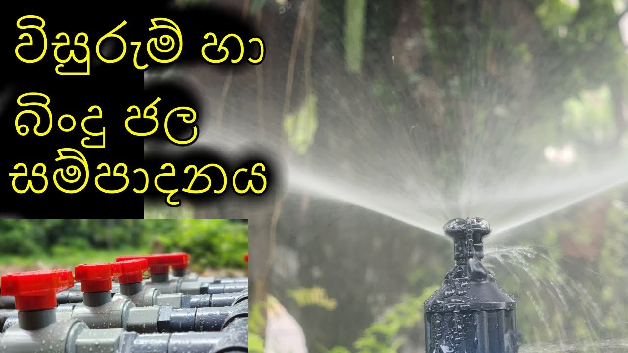 විසුරුම් හා බිංදු ජල සම්පාදන ක්‍රම Sprinkler and drip irrigation systems