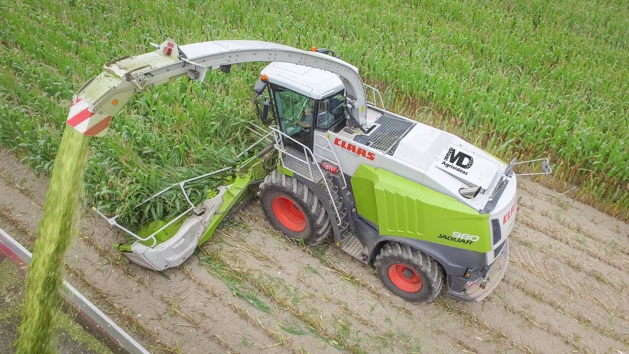 Claas Jaguar 980 | 12 rangs | Biggest Claas Forage Harvester | ETA Letouzey