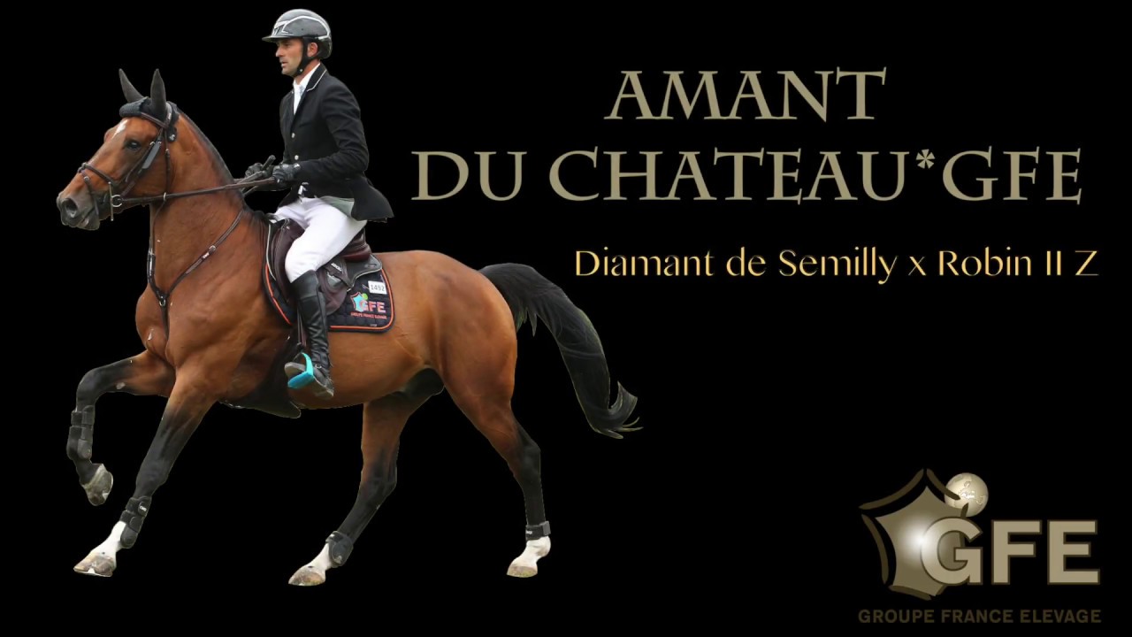 AMANT DU CHATEAU*GFE 2017