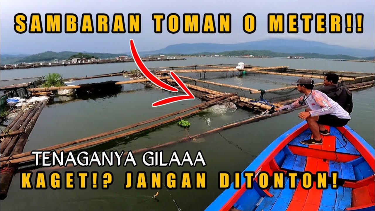 MANCING TOMAN JATIGEDE SUMEDANG TERBARU‼️ SAMBARAN TOMAN BERJARAK 0 METER‼️