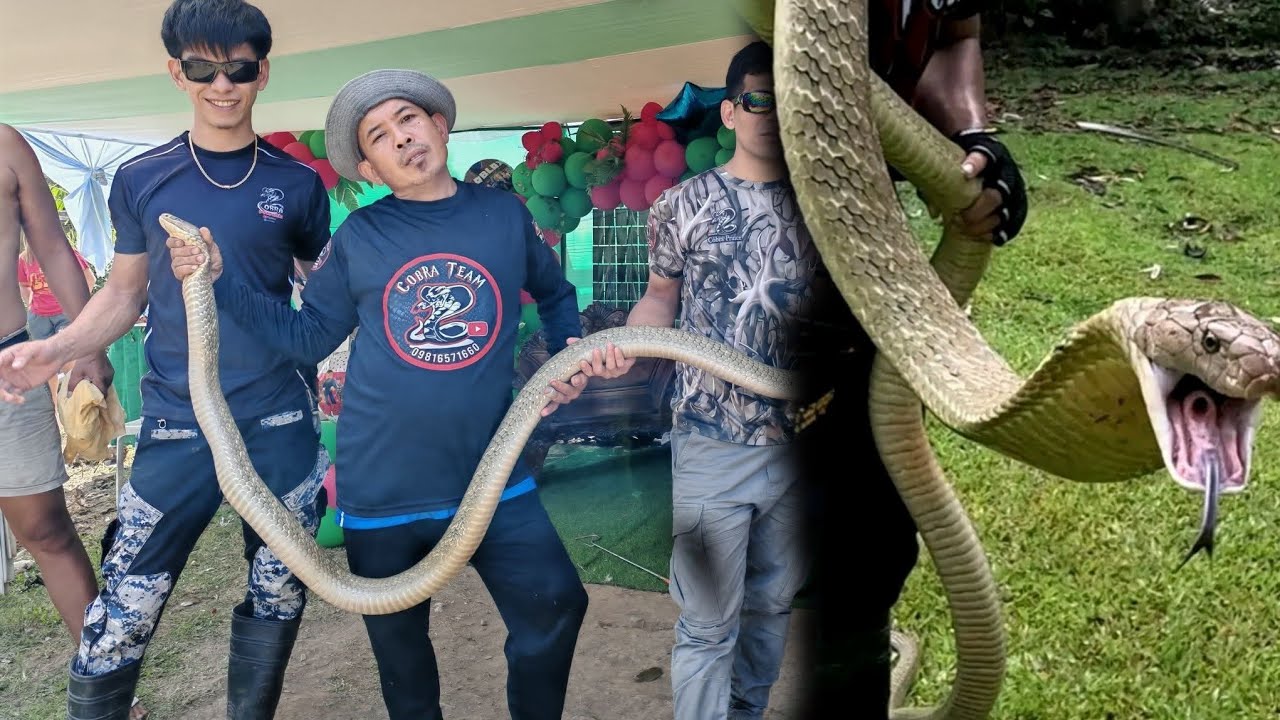 DELIKADONG MGA MISYON NI COBRA PRINCE #cobraprince 