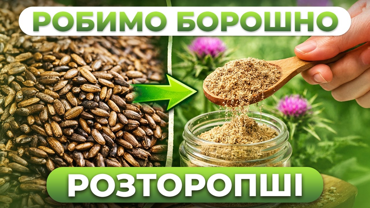 Ваша печінка скаже ДЯКУЮ! 🌱 Робимо живий шрот розторопші #млин #борошно #розторопша