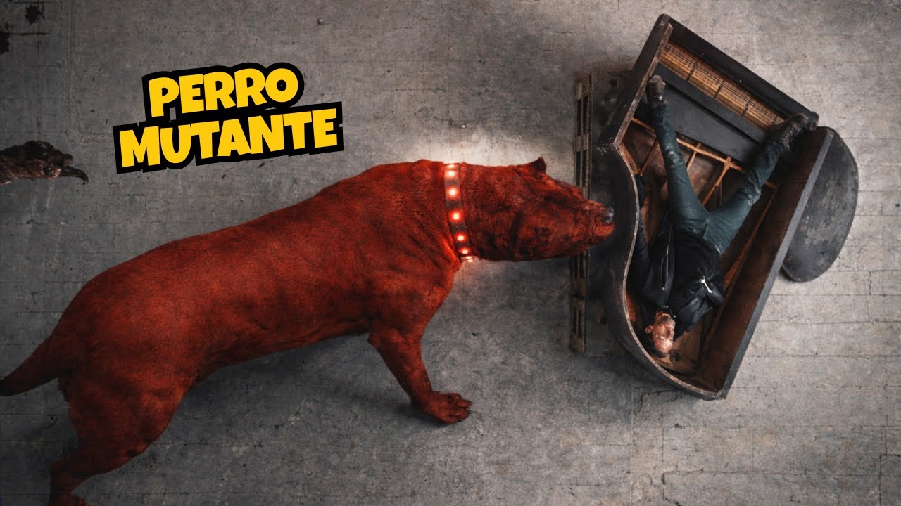 Creado para ganar PELEAS DE ANIMALES el PERRO MUTANTE comienza a ALIMENTARSE de HUMANOS