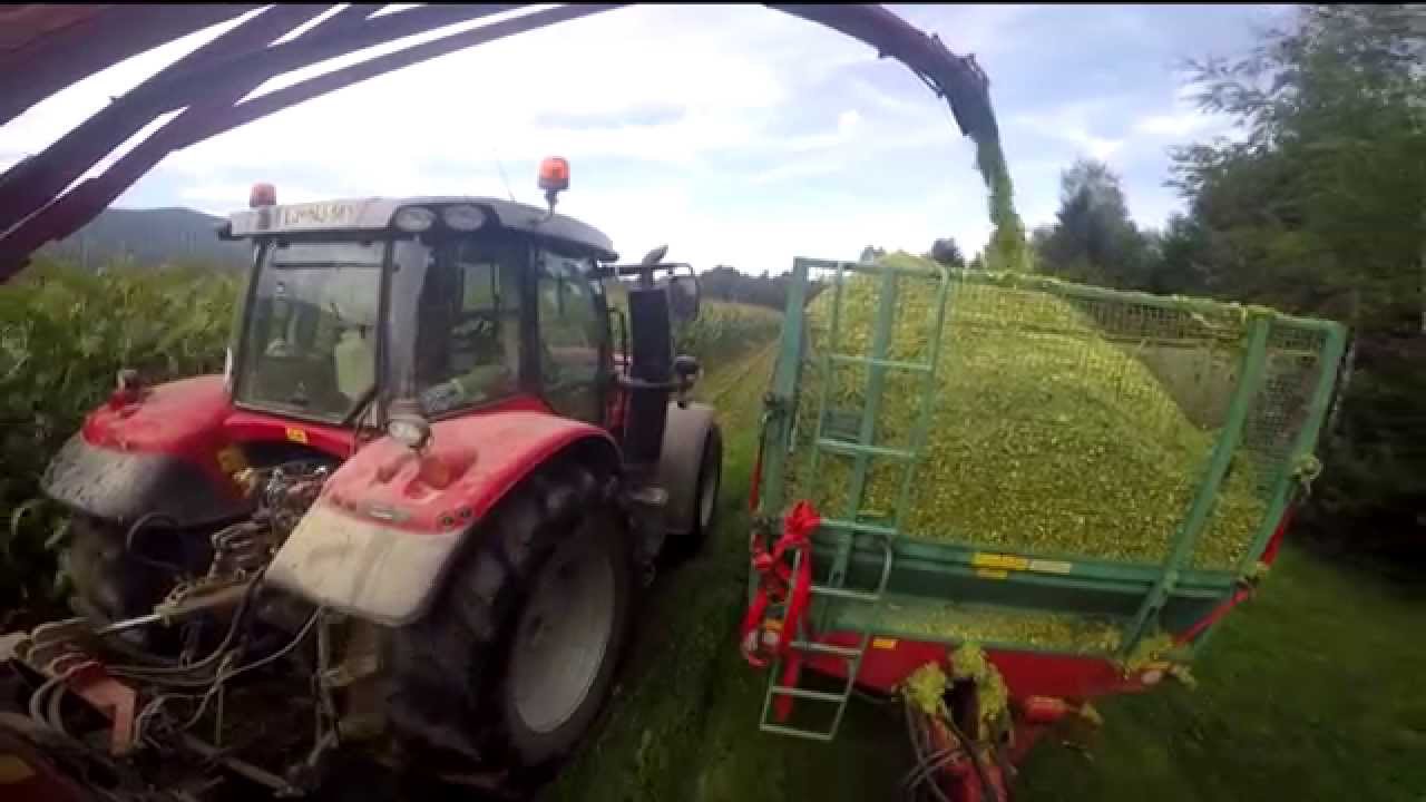 Siliranje/Corn Silage/2015 (GOPRO)-John Deere,Jcb, Masey Feguson (kukurydza na kiszonkę/Maissilage )