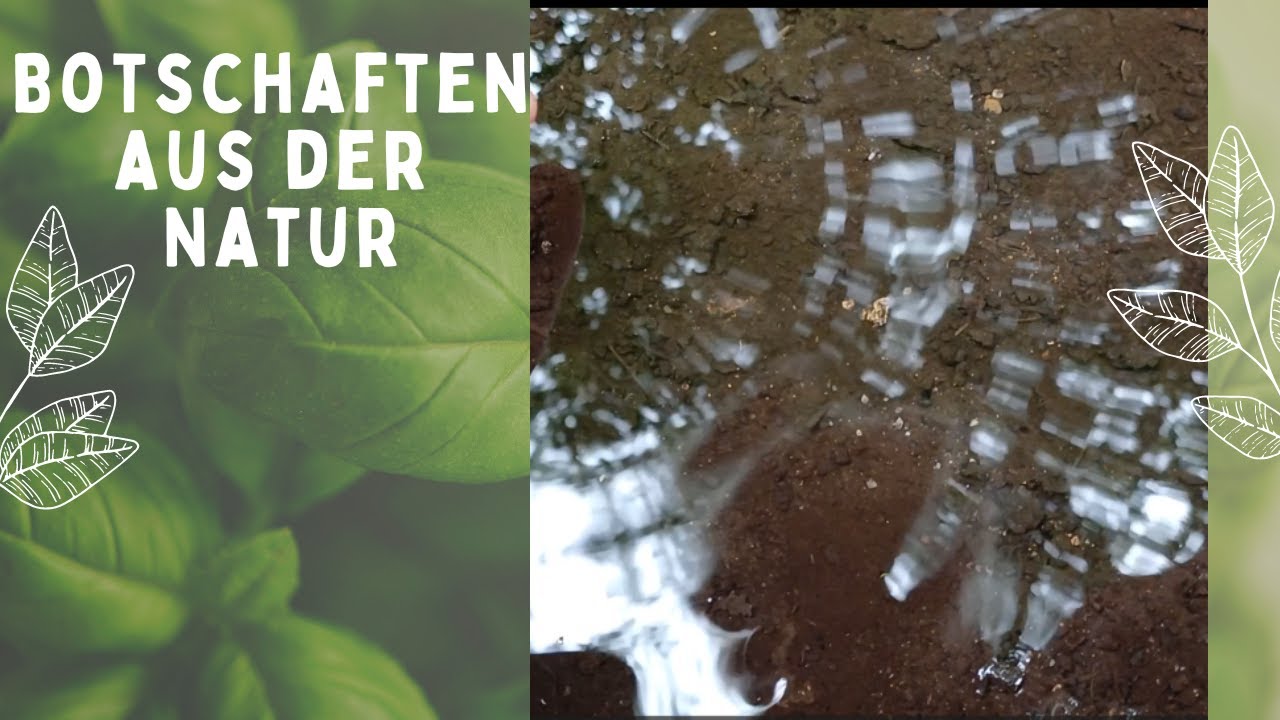 Die Sprache der Natur: Ein Spiegel der Seele