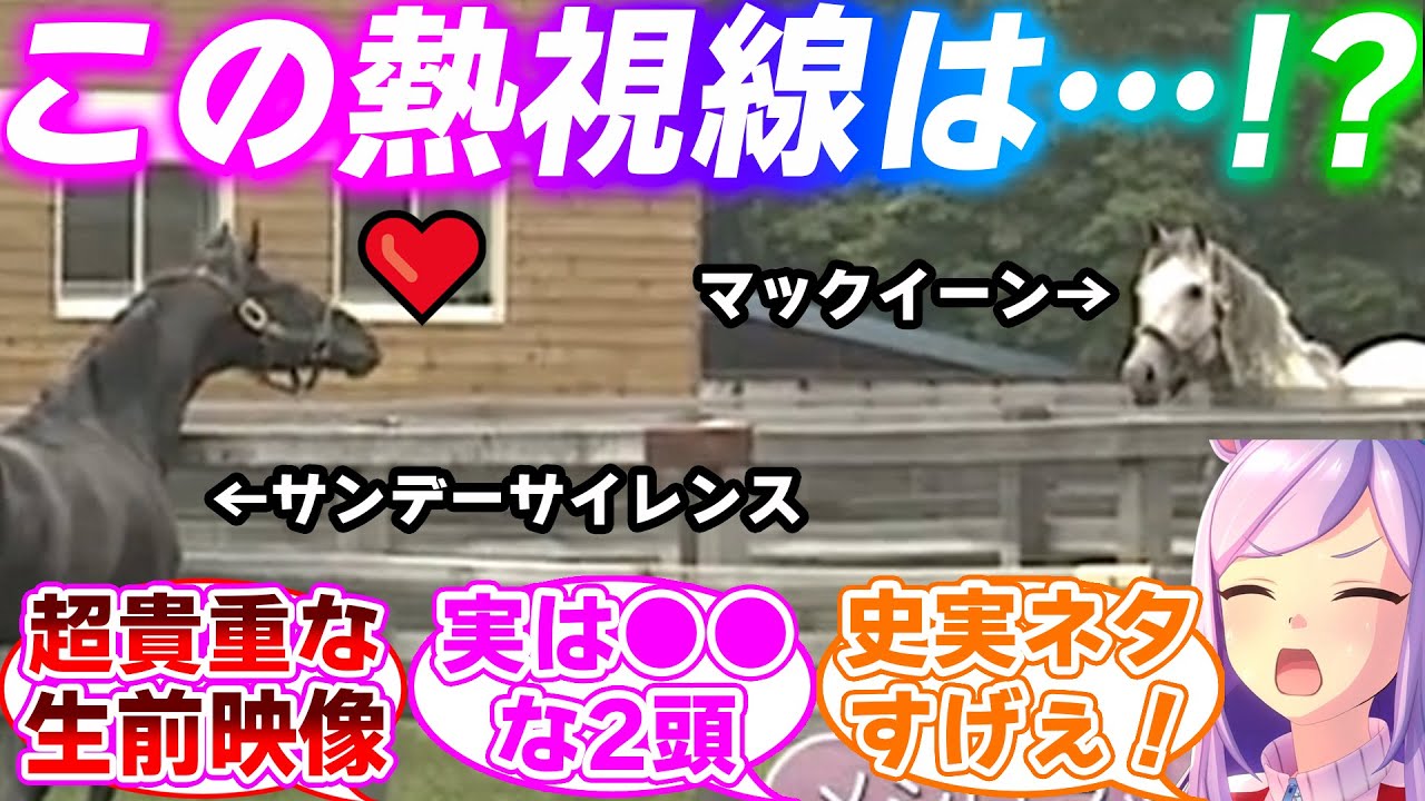 史実のメジロマックイーン、特番でサンデーサイレンスとの貴重な映像と秘話が提供されるに対するみんなの反応集【ウマ娘プリティーダービー】