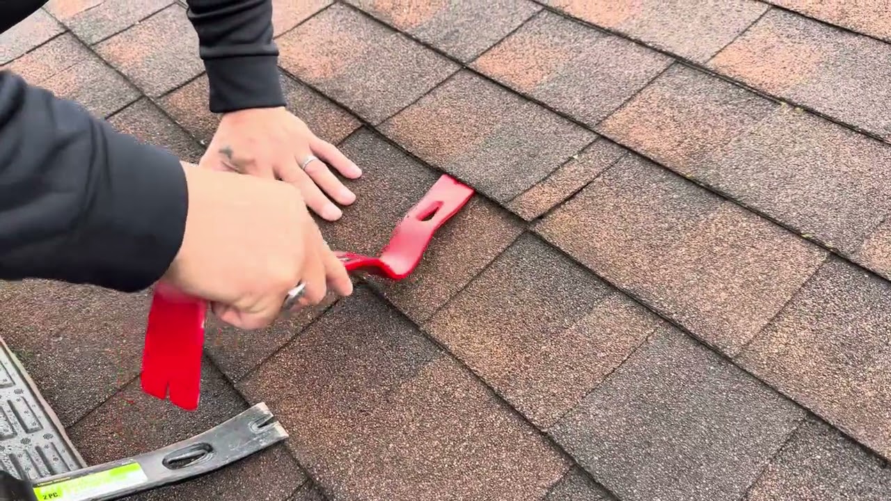 Folk repair 3