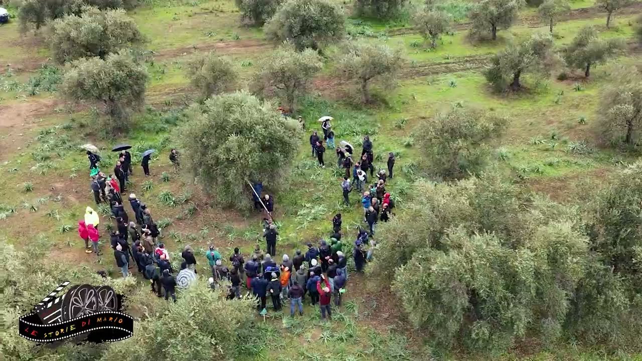 27-02-2024,  Triei: Potatura di riforma un albero secolare a vaso policonico [2^ parte  di 3]