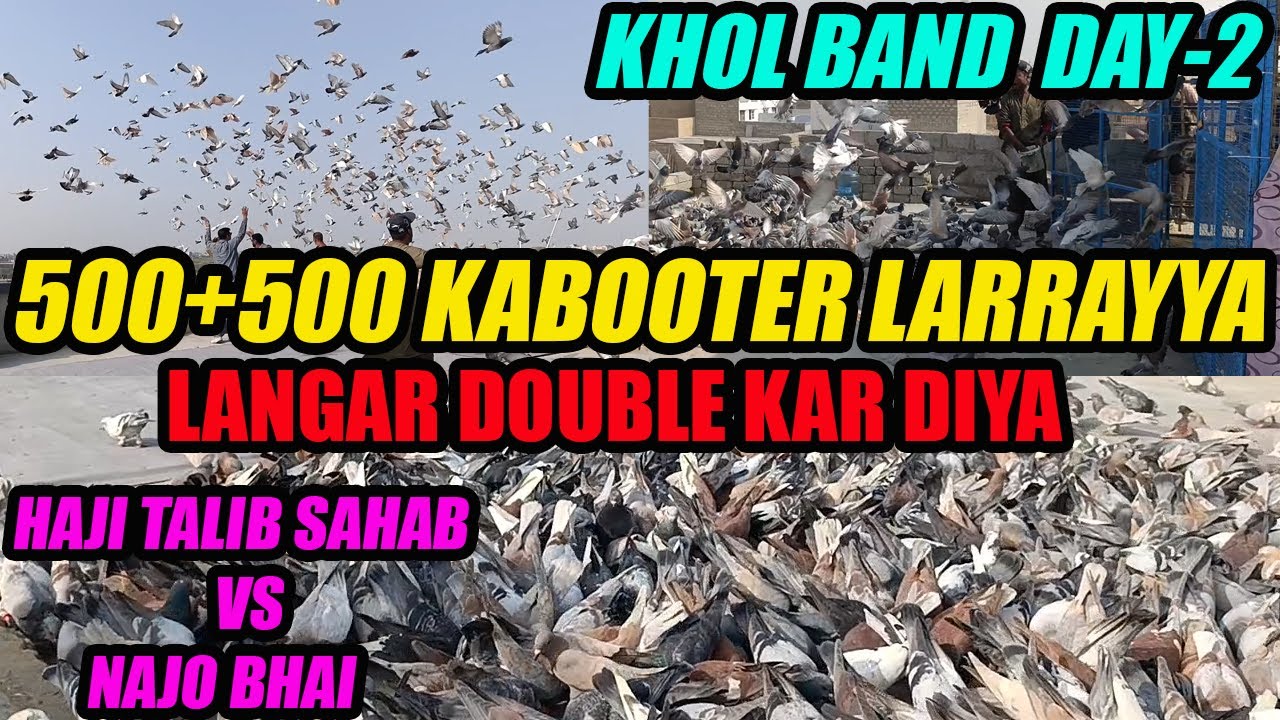 500 Ka Langar Double Kar Dia KHOL BAND DAY-2 500+500 Gola Pigeon Fight Haji Talib Sahab VS Najo Bhai