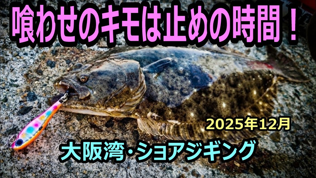ヒラメもサゴシも喰わせの肝は止めの時間！