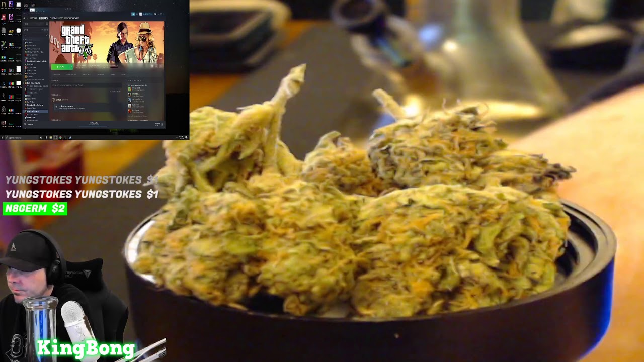 26.30% THC 🌳 Weed Reviews : OZ Kush by Dr Greenthumb & Wonder Brett