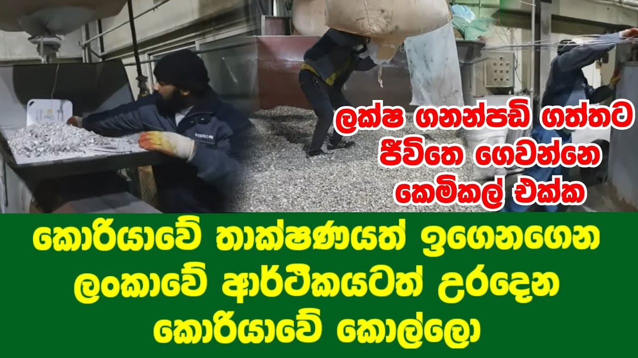 #korean_network කොරියාවේ කුණු ප්‍රතිචක්‍රිකරණ තාක්ෂණය අපෙ කොල්ලොන්ගෙ වැඩ recycling garbage in korea