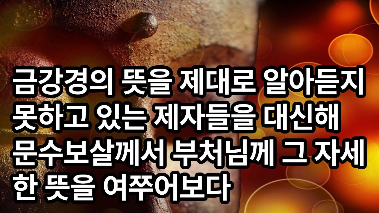 불설대승금강경론 금강경의 뜻을 제대로 알아듣지 못하고 있는 제자들을 대신해 문수보살께서 부처님께 그 자세한 뜻을 여쭈어보다