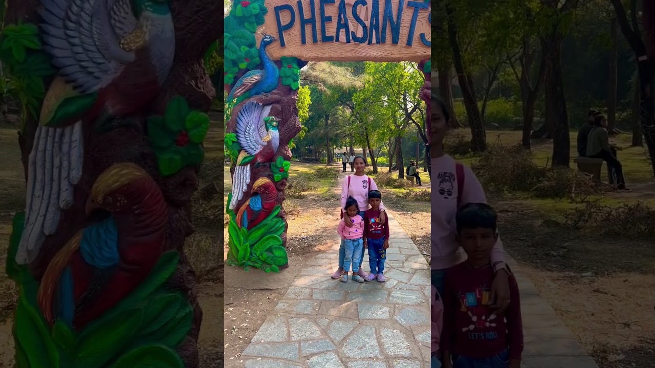 🐅 A Day at Nehru Zoological Park 🦁 | Family Fun & Funny Moments 😂 | Zoo Park Hyderabad Adventure 🐾