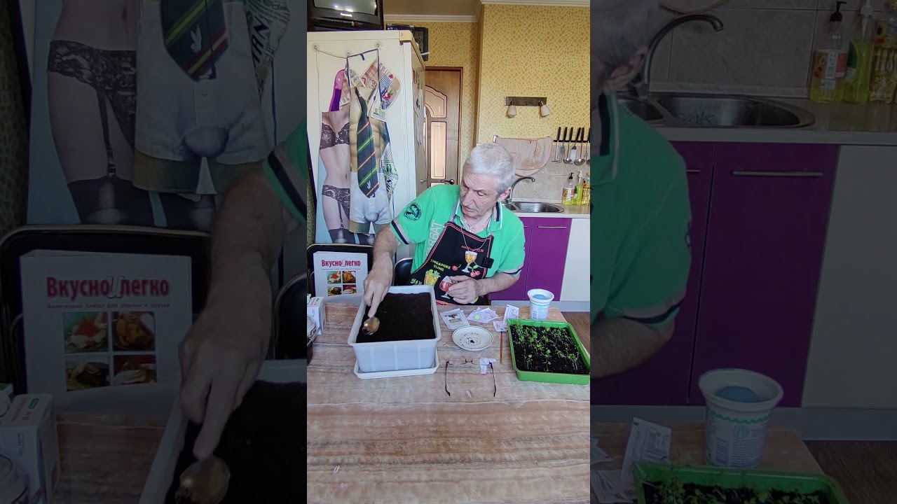 Сеем лук ЭКСИБИШН...