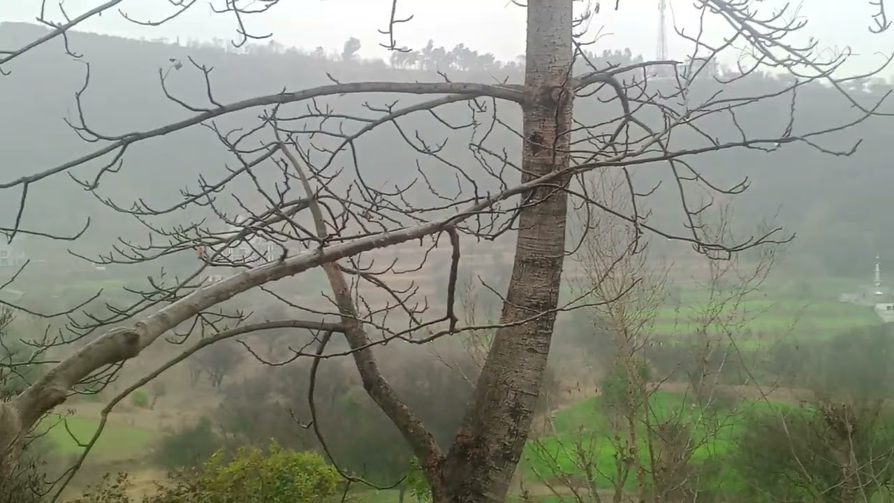 Barish  in poona  cloud ☁️ weather #music #music #musicgenre 