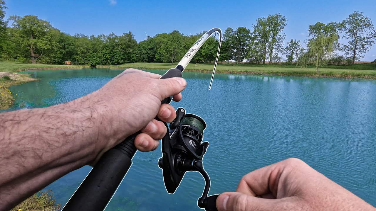 Piscifun Carbon X  Reel Review
