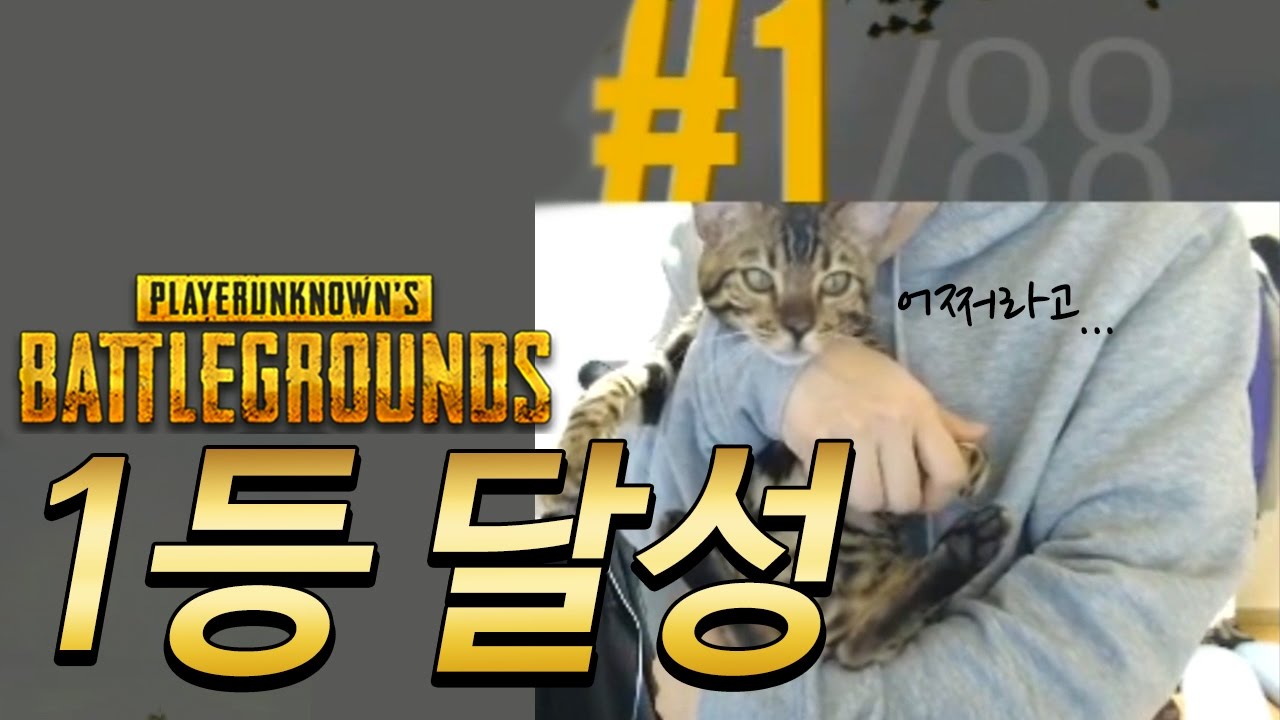 속보)배틀그라운드 솔큐 1등 달성