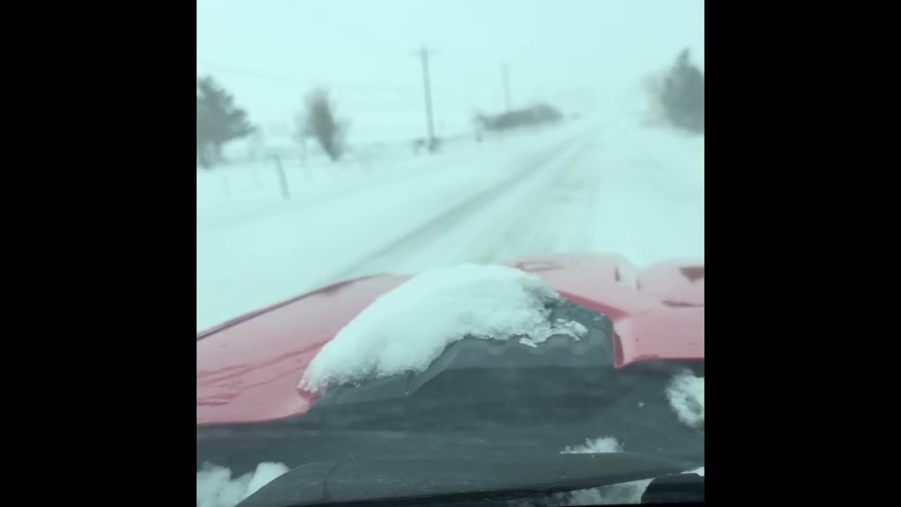 Snow storm February 2026