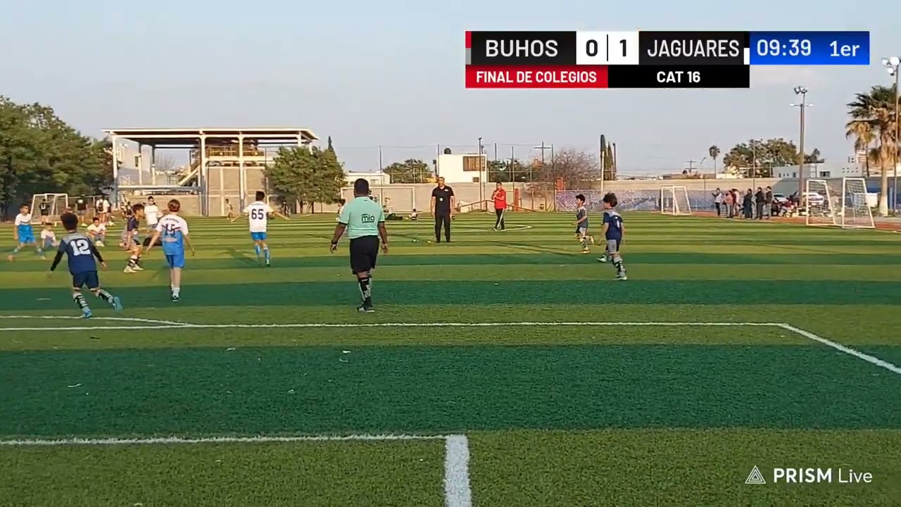 LINCES VS JAGUARES PRIMER TIEMPO FINAL CAT 16