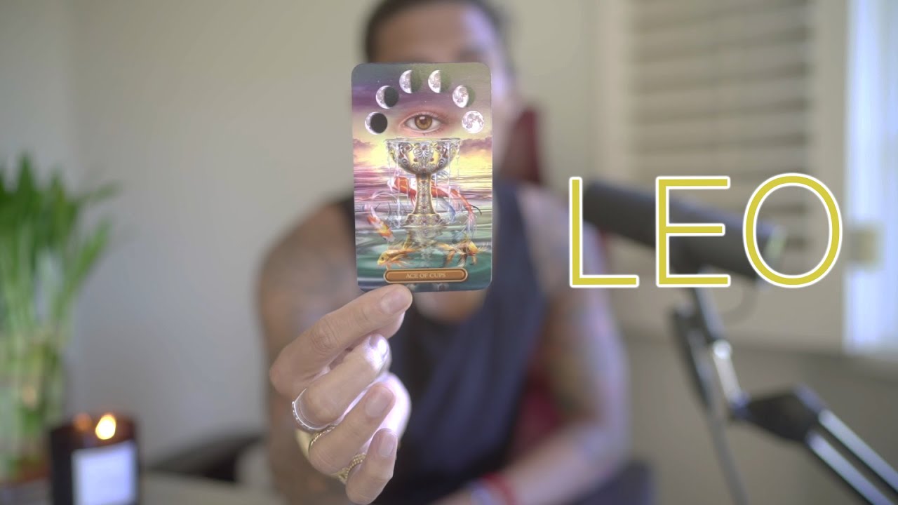 LEO - 