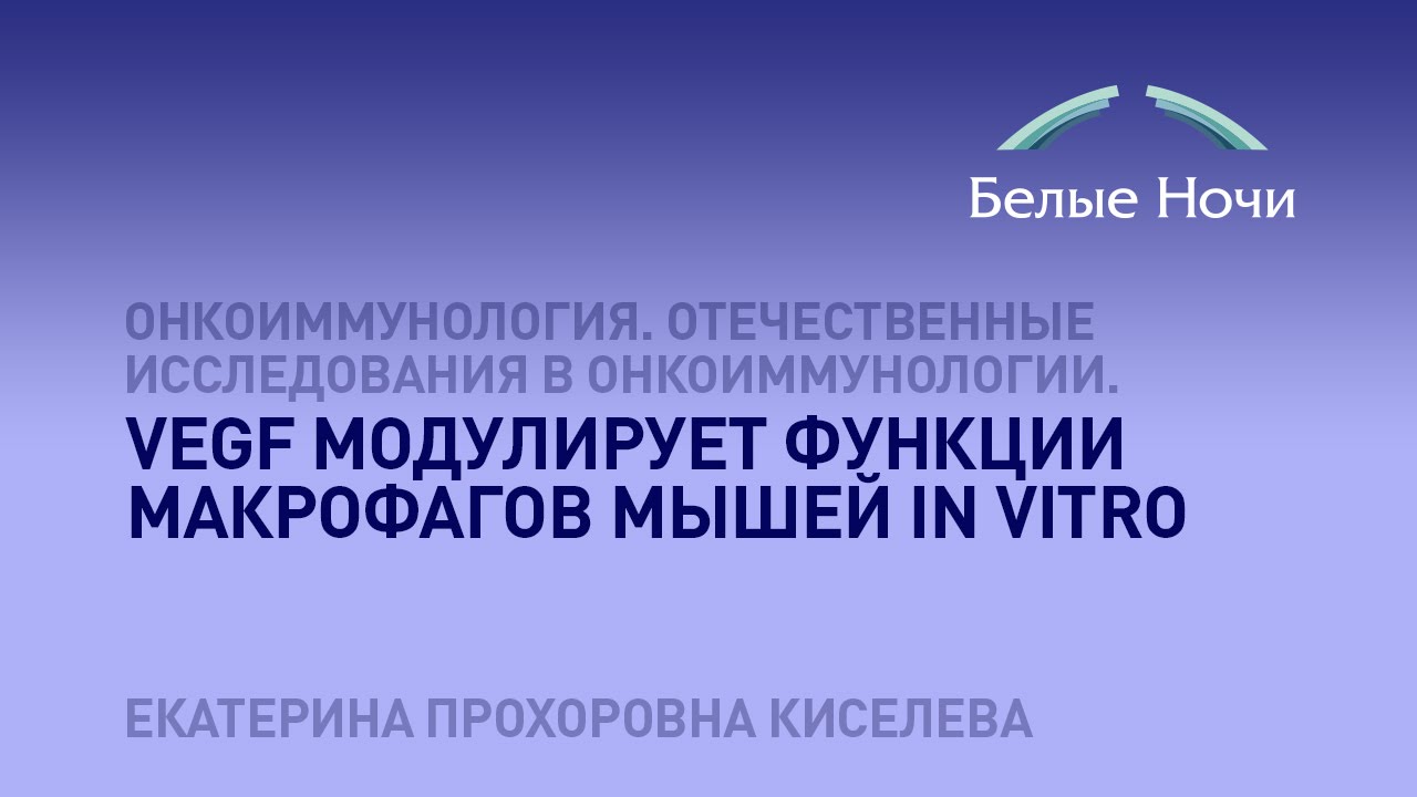 VEGF модулирует функции макрофагов мышей in vitro