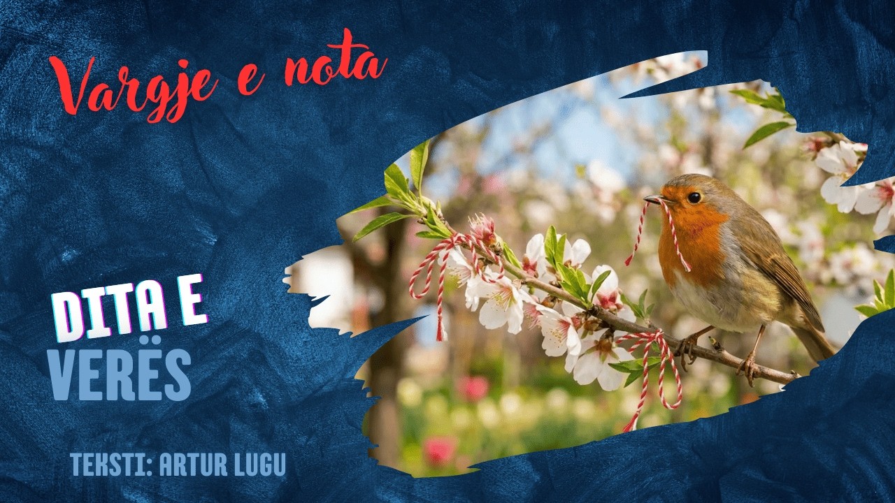 DITA E VER&Euml;S