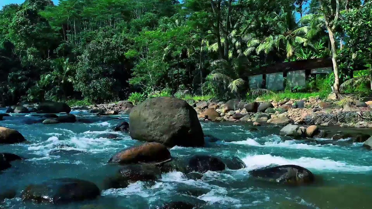 Deep Jungle River Flow Around Giant Boulder | Relaxing Nature Water Sound for Sleep