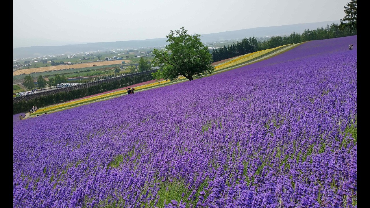 2021-07-23～26 北海道 富良野・網走・知床・釧路