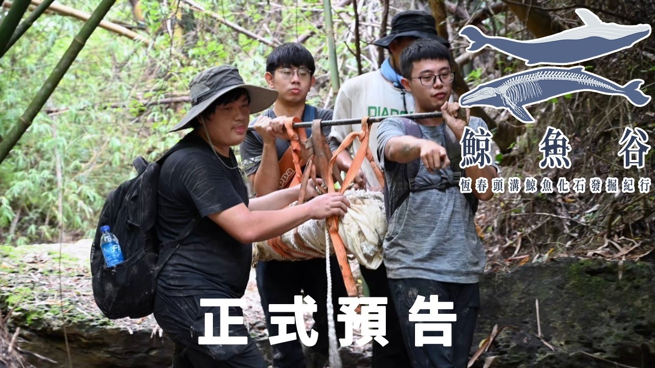 頭骨終於重見天日!《鯨魚谷:恆春頭溝鯨魚化石發掘紀行》第三季正式預告|方塊酥