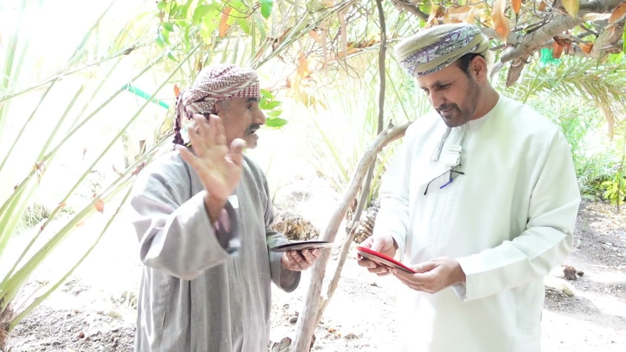 عقير العبرين وادي شافان ولاية الخابورة سلطنة عمان