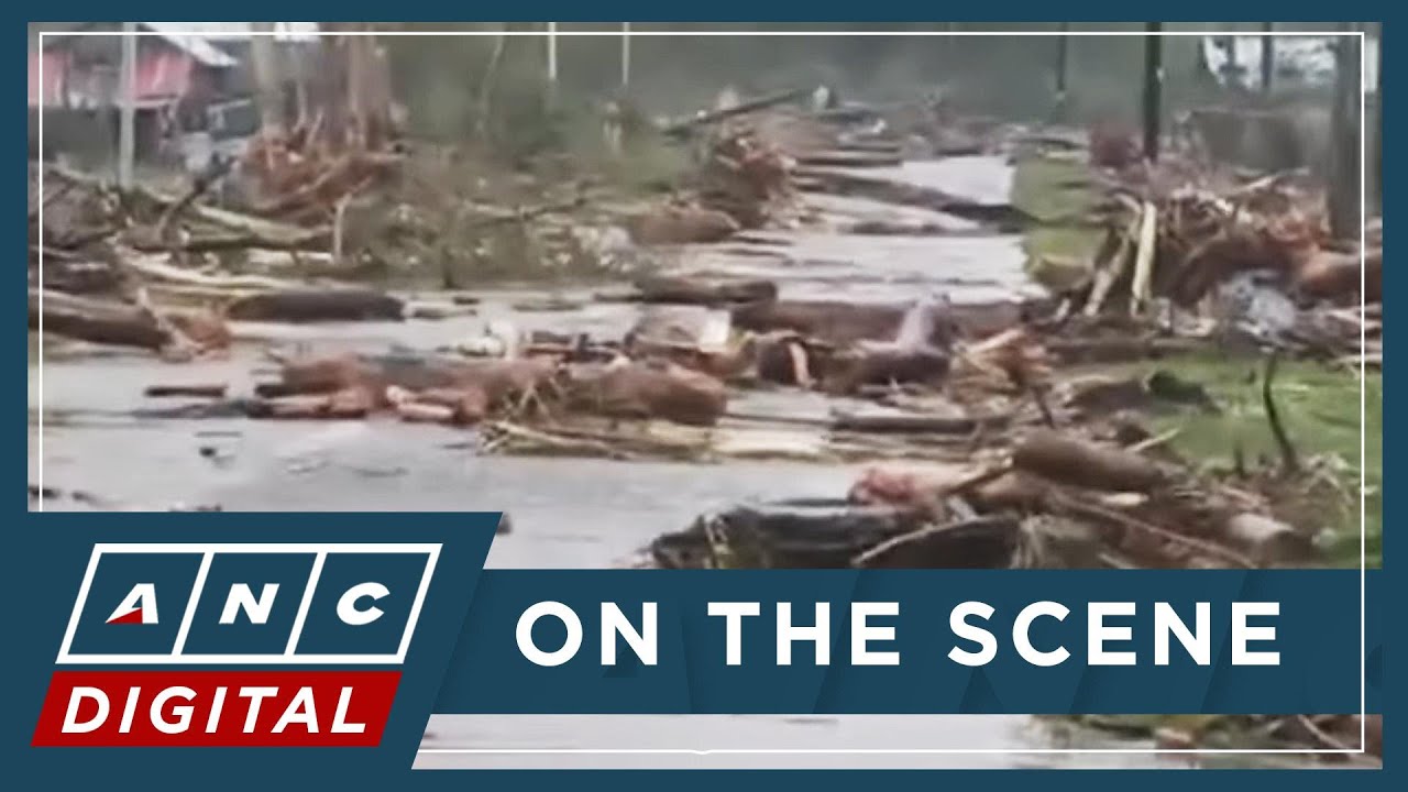 LOOK: Logs, debris scattered across Viga, Catanduanes after &lsquo;Uwan&rsquo; onslaught | ANC