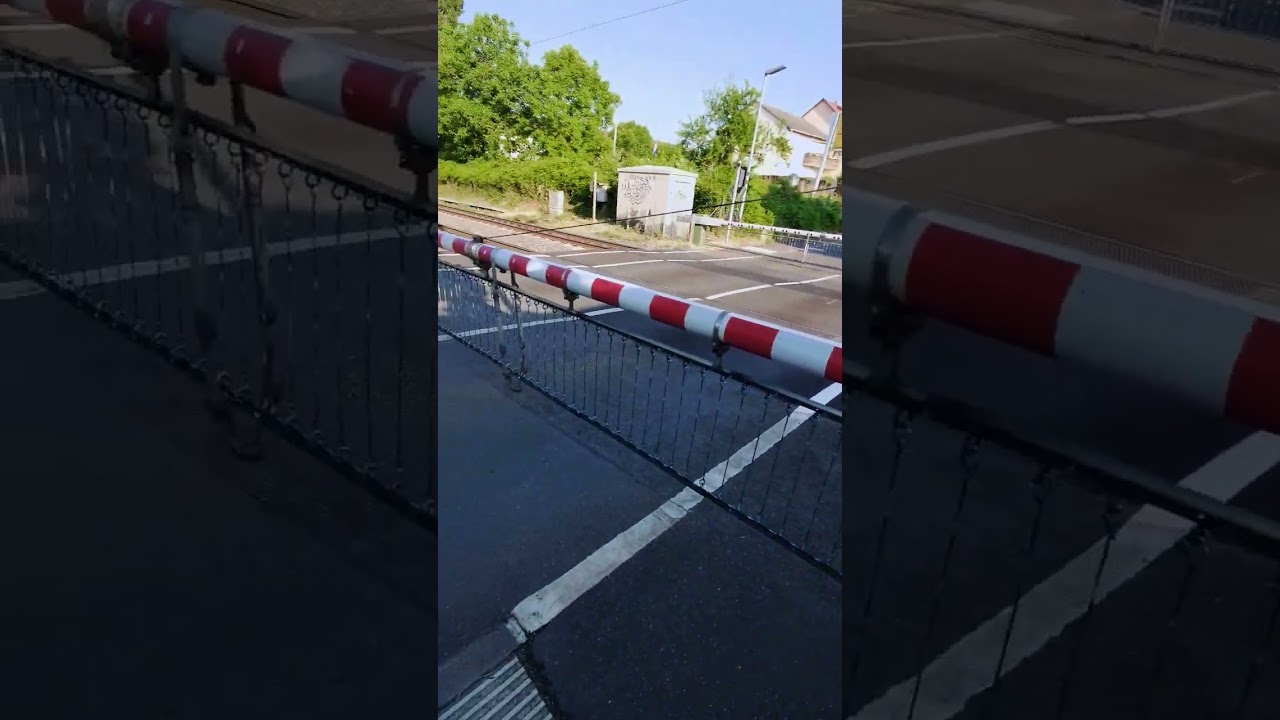 NU POȚI TRECE CALEA FERATĂ #short