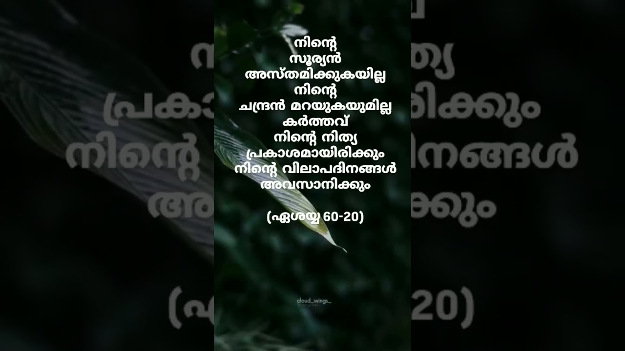 #jesuschrist #kreupasanam #kreupasanamlive #traditionalmalayalamchristiandevotionalsongs #devotional