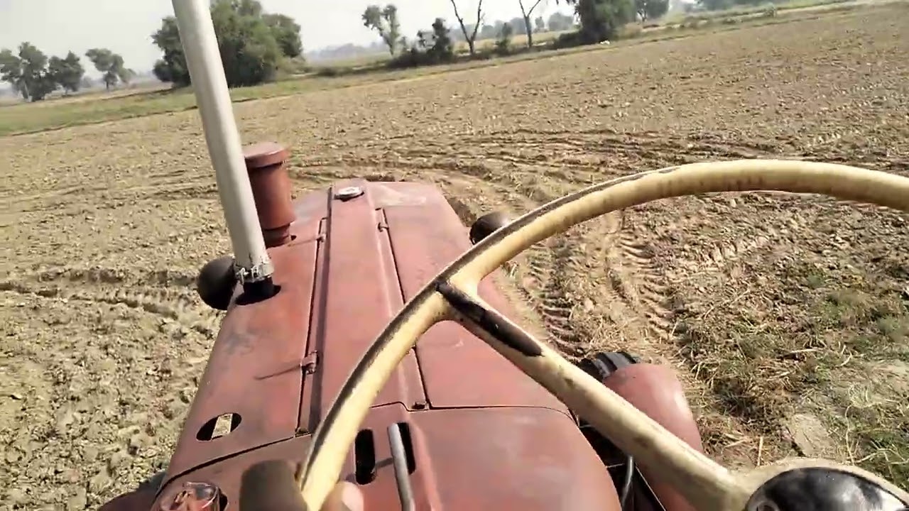 Belarus tractor 🚜  original HMT 5911#trending #trending #farming #5911walejatt #viralvideo 