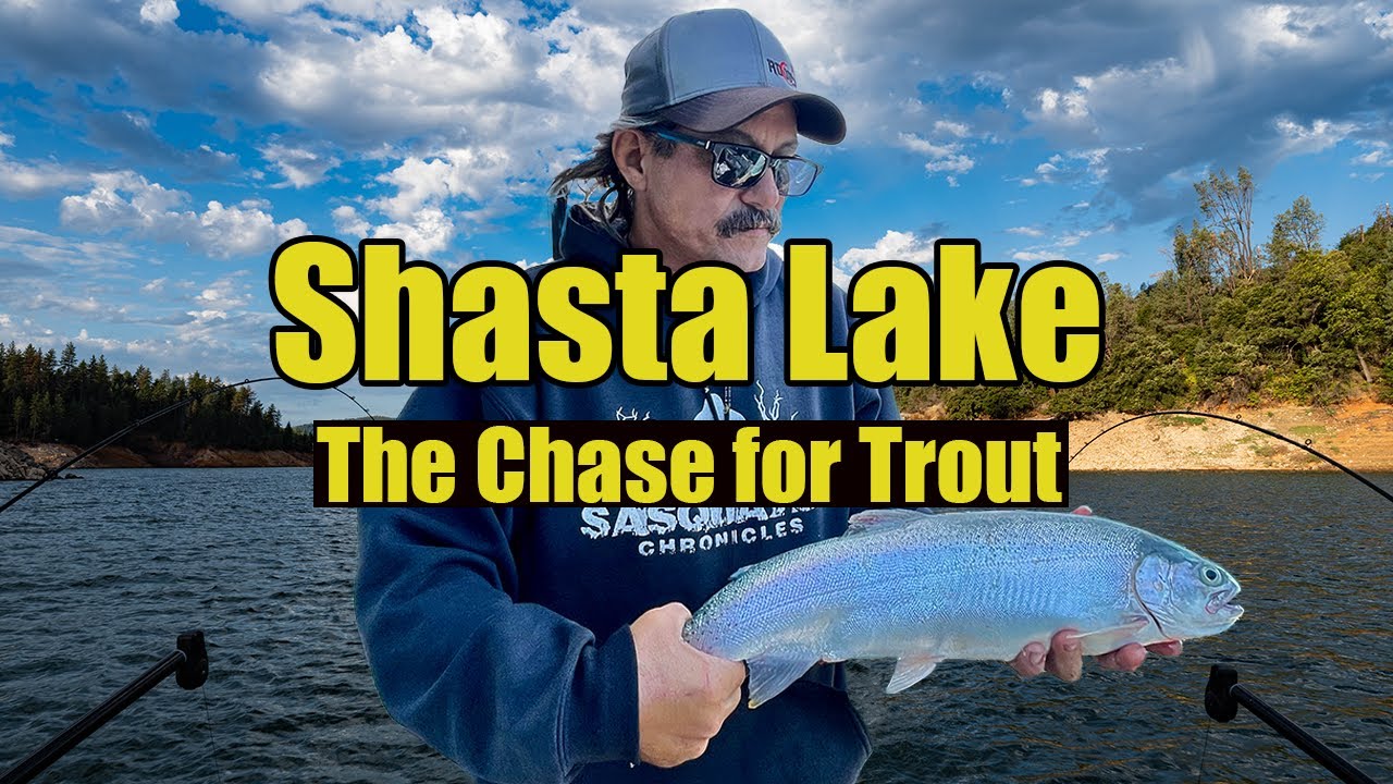 Shasta Lake the Chase for Epic Trout
