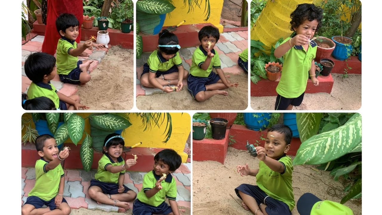 Insects Theme | An overall video of Insects Theme | Vidhai School | Kids had a funfilled learning 