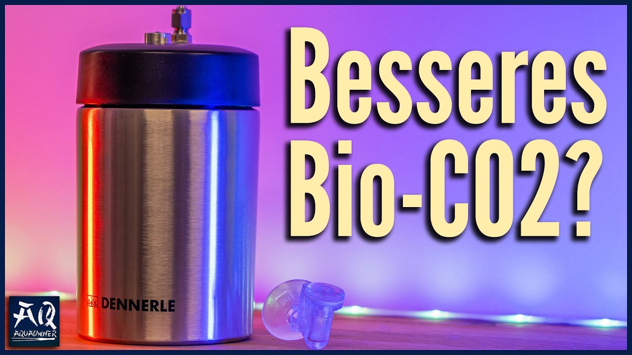Bio-CO2 in gut und hochwertig? | AquaOwner