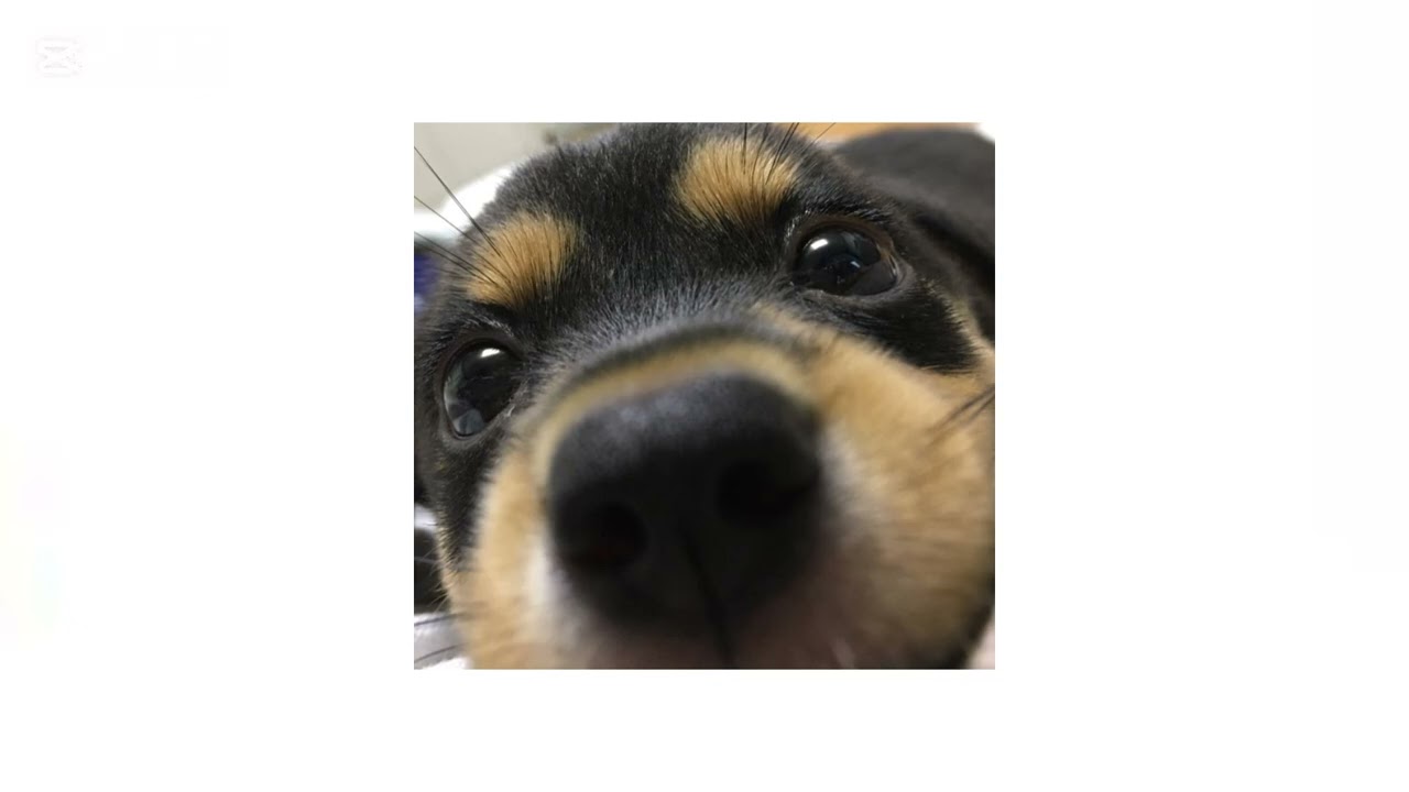틱톡랜덤플레이음원 • 최신 • 2025 • 유행 • tictok • 틱톡 • 댄스 • 손댄스 • 음원 