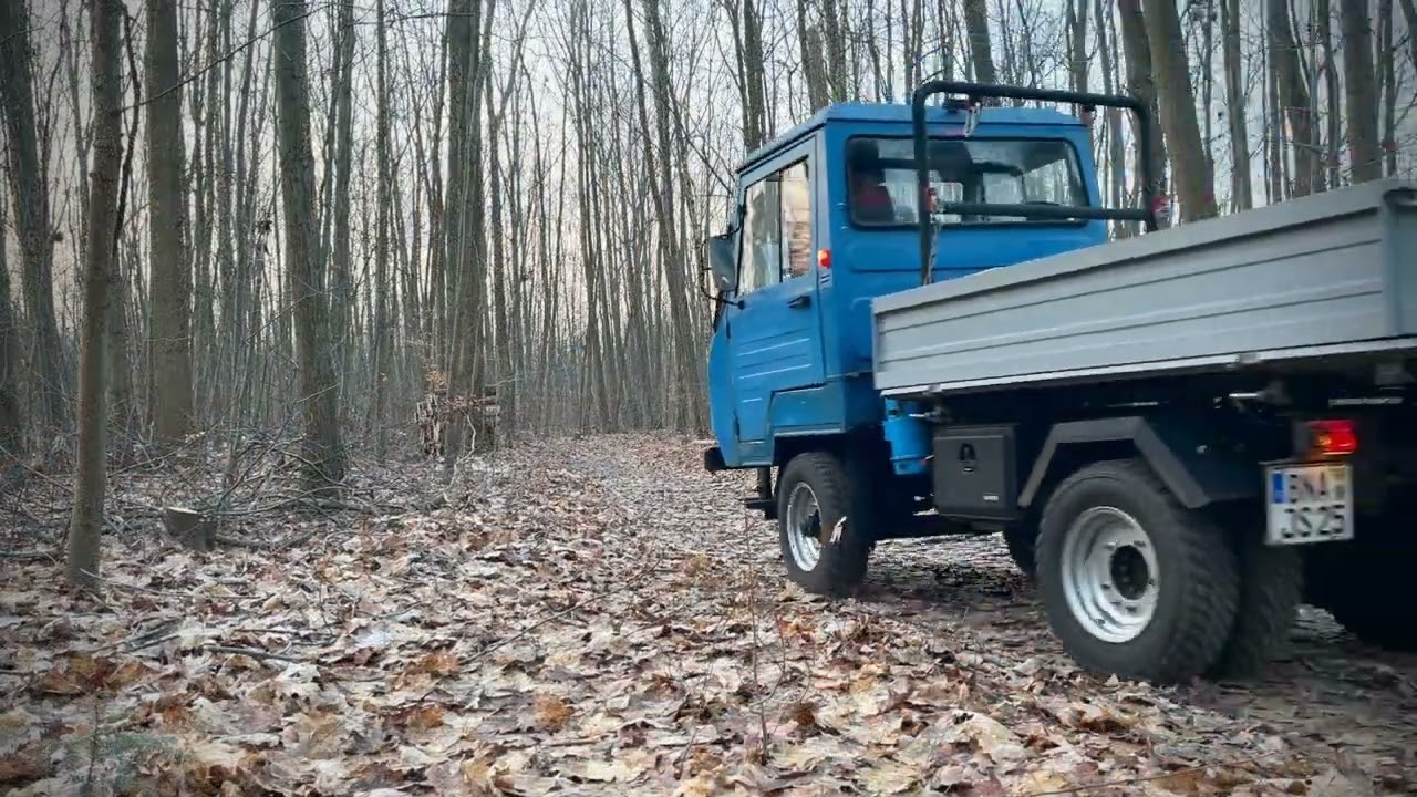 Mit dem Multicar M25 im Wald. Brennholz machen.