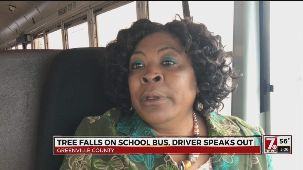 Driver recounts tree falling on Greenville Co. school bus
