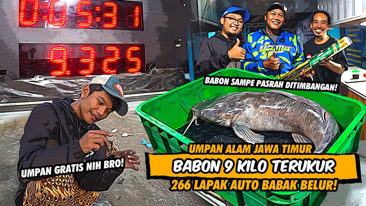 MANCING DI KOLAM 266 LAPAK PAKE UMPAN ALAM JAWA TIMUR BIKIN TETANGGA BABAK BELUR! GT LELE NEW BSJ